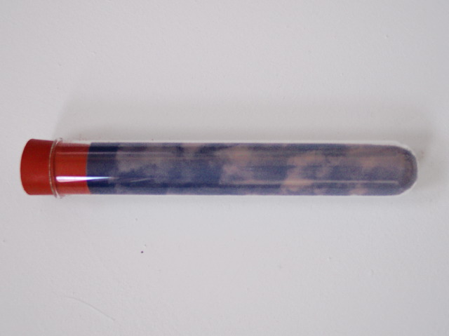 ruth spencer - sky test tube