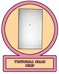 victoria bean - dirt