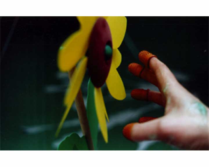 dynamic pruning