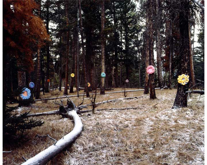 elkspace