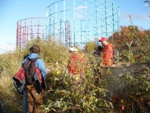 Vision Quest: Cylinder Cages