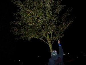 Vision Quest: Gathering the Tape