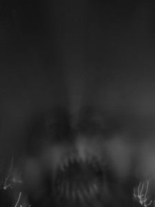 Ixtahdoom, she who spits out precious stones