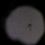 Sciencific Photo Prompt