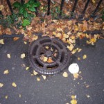 Sciencific Photo Prompt
