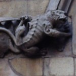 Sciencific Photo Prompt